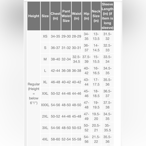 NWT hybrid swim shorts with 4 way stretch gray men’s size 30 or XS - Picture 4 of 8